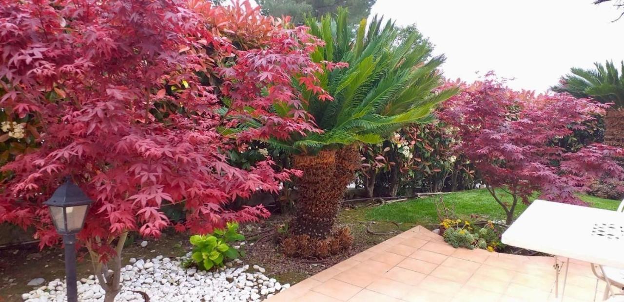 Villa Gaia - Luxury Villa, Pool & Wellness Rooms Bordighera Exterior foto